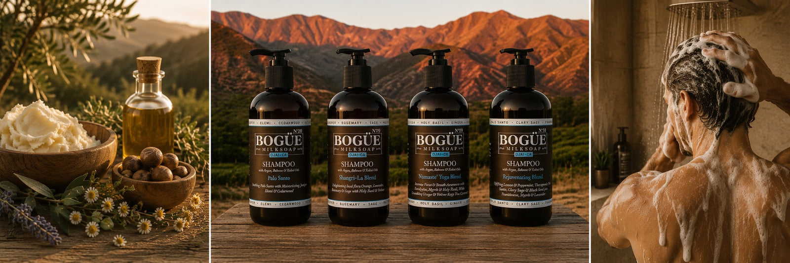 Bogue Organic Shampoo with botanicals and essential oils