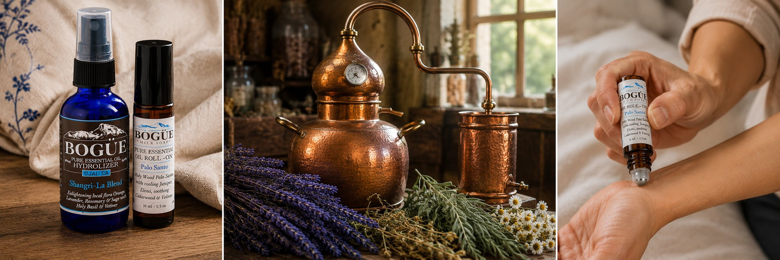 Bogue Essential oil and aromatherapy collection