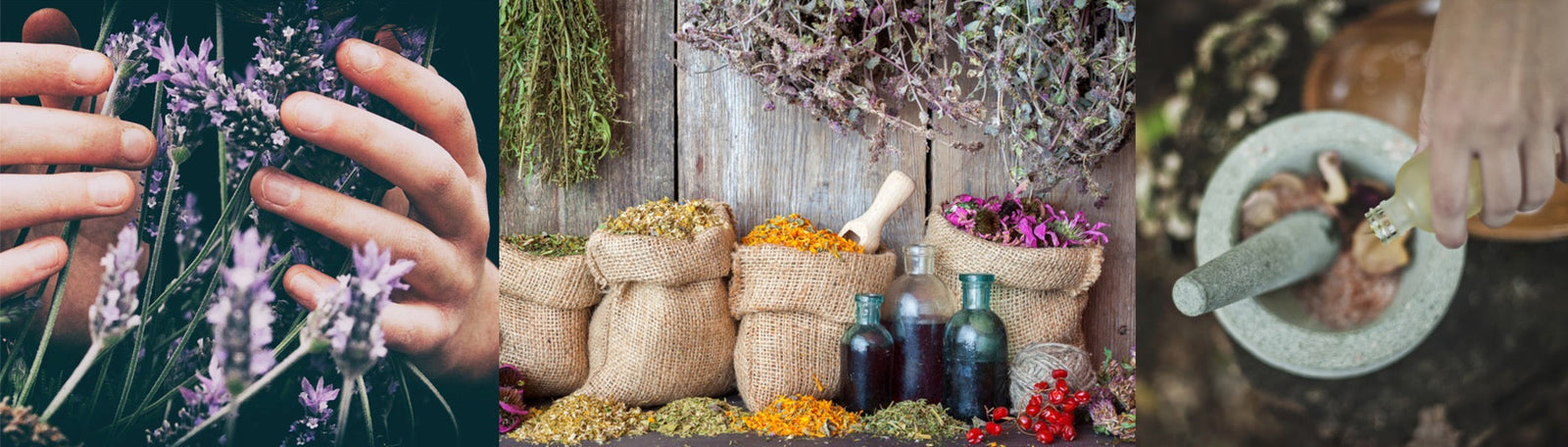 plant based oils & butters, botanicals, essential oils