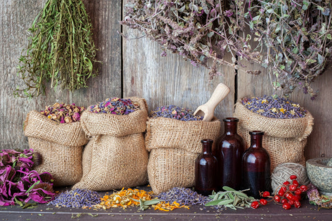 botanicals in the organic soap