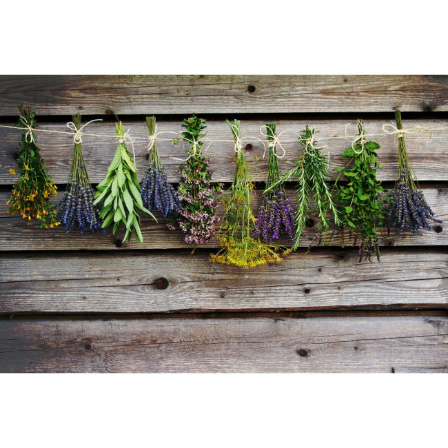 botanicals drying