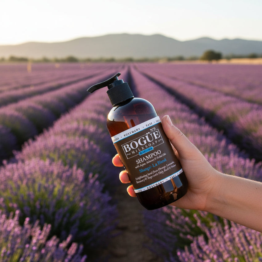 lavender shampoo with added argan