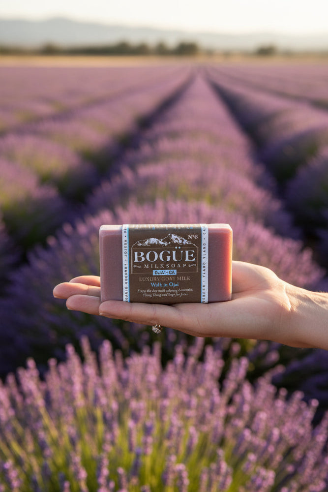 Lavender goat milk soap in lavender fields