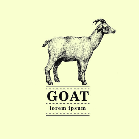 BMS_Luxury Goat Milk_Goat with Latin