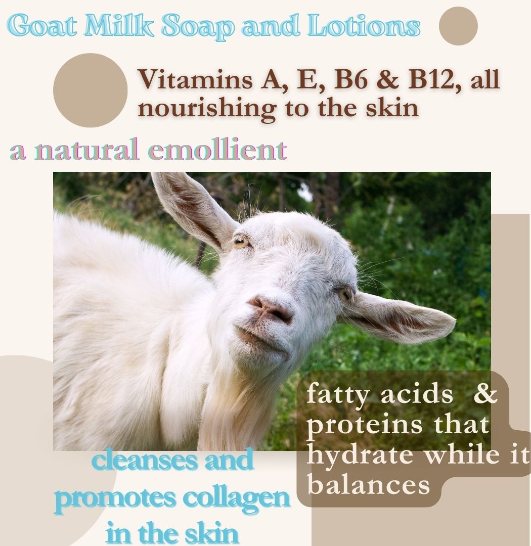 Handmade Goat Milk Soap N° 33 WELLNESS- AntiAging Blend with